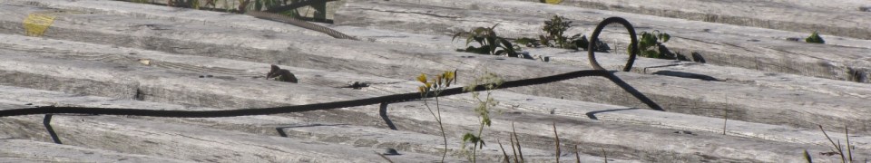 2012-07-23 LeadCoveRampCROP